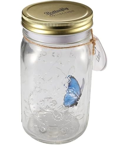 Amazon.co.jp: 瓶の中の蝶、ロマンチックなシミュレーションの蝶の瓶